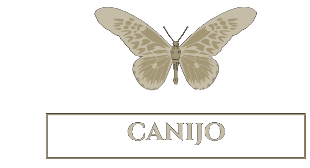 canijo.online